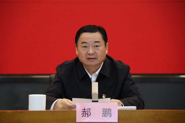 郝鹏、国资、央企、国资委、书记、主任、国企、企业改革